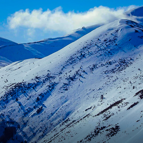 San Lorenzo - [Todo el día] + COMIDA